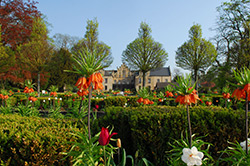 Vorschaubild Presse Schloss Ippenburg im Frühling